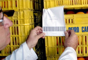 Imagen ítem de calidad